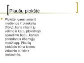 Medienos gaminiai 10 puslapis