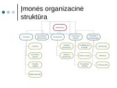 Organizacijos informacinės elgsenos tyrimas 5 puslapis