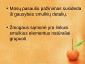 Prototipų teorija ir prototipų pavidalai 2 puslapis