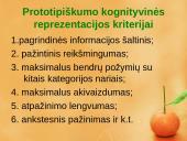 Prototipų teorija ir prototipų pavidalai 13 puslapis