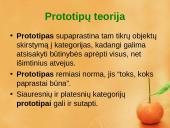 Prototipų teorija ir prototipų pavidalai 14 puslapis