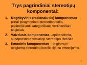 Prototipų teorija ir prototipų pavidalai 18 puslapis