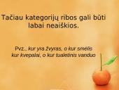 Prototipų teorija ir prototipų pavidalai 5 puslapis