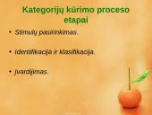 Prototipų teorija ir prototipų pavidalai 6 puslapis