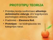 Prototipų teorija ir prototipų pavidalai 8 puslapis