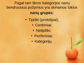 Prototipų teorija ir prototipų pavidalai 10 puslapis