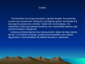 Psichoanalizės terapija 2 puslapis