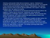 Psichoanalizės terapija 8 puslapis