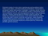 Psichoanalizės terapija 9 puslapis