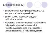 Psichologijos tyrimai 13 puslapis