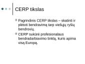 Ryšių su visuomene profesinė terpė Europoje 3 puslapis