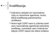 Ryšių su visuomene profesinė terpė Europoje 4 puslapis