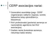 Ryšių su visuomene profesinė terpė Europoje 5 puslapis