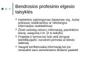 Ryšių su visuomene profesinė terpė Europoje 6 puslapis