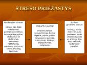 Stresas ir streso valdymas 12 puslapis