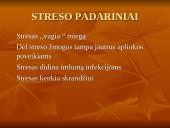 Stresas ir streso valdymas 13 puslapis