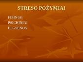 Stresas ir streso valdymas 5 puslapis