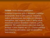 Stresas ir streso valdymas 6 puslapis