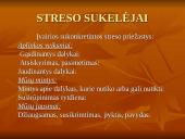 Stresas ir streso valdymas 10 puslapis