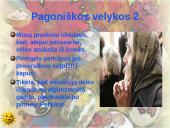 Velykos Lietuvoje 4 puslapis