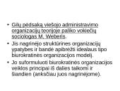 Viešasis administravimas organizacijų teorijos kontekste 6 puslapis