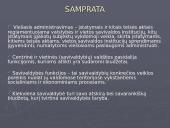 Viešojo administravimo sektoriaus pajamų šaltinis 3 puslapis