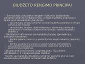 Viešojo administravimo sektoriaus pajamų šaltinis 4 puslapis