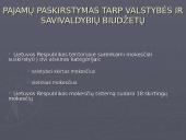 Viešojo administravimo sektoriaus pajamų šaltinis 5 puslapis