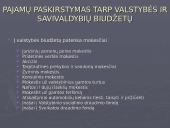 Viešojo administravimo sektoriaus pajamų šaltinis 6 puslapis