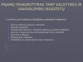 Viešojo administravimo sektoriaus pajamų šaltinis 7 puslapis