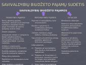 Viešojo administravimo sektoriaus pajamų šaltinis 8 puslapis