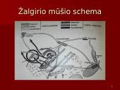 Žalgirio mūšio priežastys ir eiga 15 puslapis