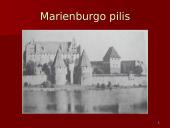 Žalgirio mūšio priežastys ir eiga 19 puslapis