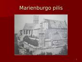 Žalgirio mūšio priežastys ir eiga 20 puslapis