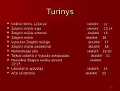 Žalgirio mūšio priežastys ir eiga 4 puslapis