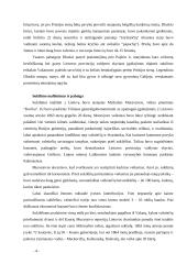 1863-ųjų sukilimas Lietuvoje ir Lenkijoje 4 puslapis