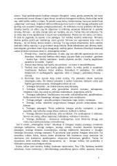 Budizmo religijos savybės 2 puslapis