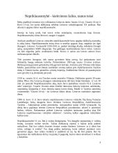 Lietuvos valstybė pirmojo pasaulinio karo metu 6 puslapis