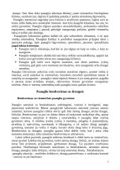 Paauglio psichologinė raida 2 puslapis