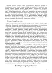 Paauglio psichologinė raida 3 puslapis