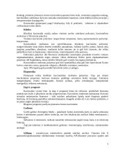 Plonosios ir storosios žarnos navikai 3 puslapis
