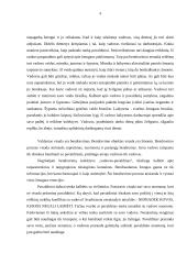 Vadovo ir pavaldinio santykiai 4 puslapis