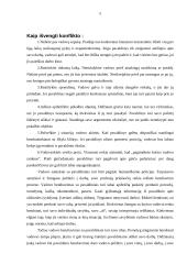 Vadovo ir pavaldinio santykiai 5 puslapis