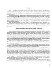 Vaiko asmenybės raidos sąlygos šeimoje 3 puslapis