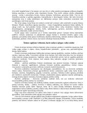 Vaiko asmenybės raidos sąlygos šeimoje 4 puslapis