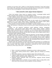 Vaiko asmenybės raidos sąlygos šeimoje 5 puslapis