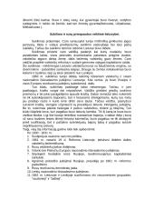 1831 metų ir 1863 metų sukilimai Lietuvoje 11 puslapis