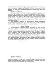 1831 metų ir 1863 metų sukilimai Lietuvoje 5 puslapis
