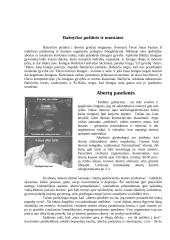 Abortai ir požiūris į juos 4 puslapis