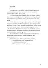 Abortų atlikimas 2 puslapis